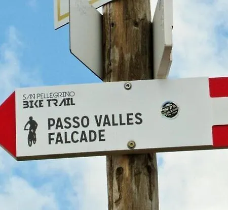 Scoiattolo Sussy Falcade